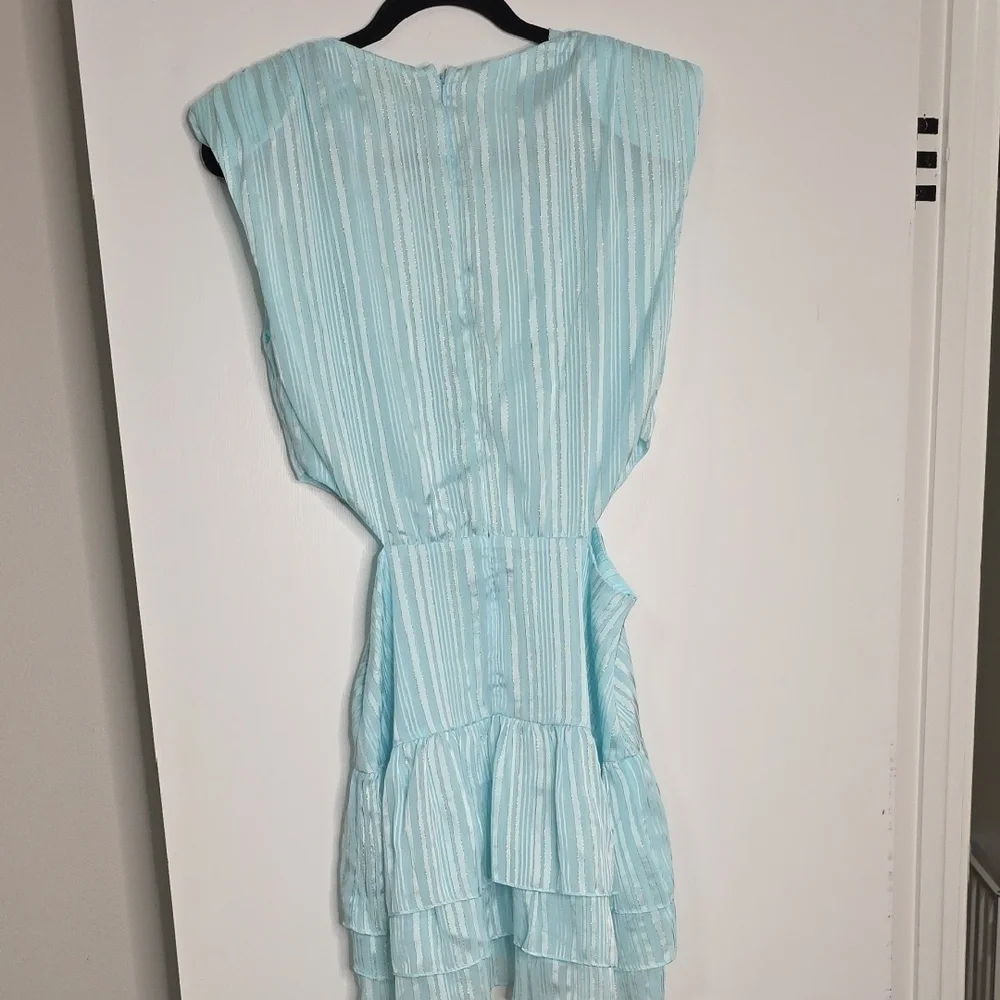 Torn by Ronny Kobo CASSIE SLEEVELESS DRESS - Picture 8 of 9